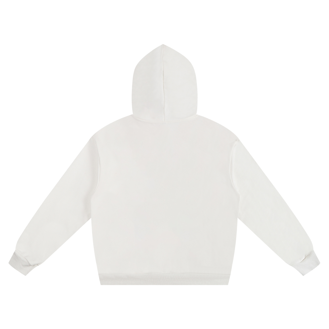 Brandoa 460 W.P Hoodie