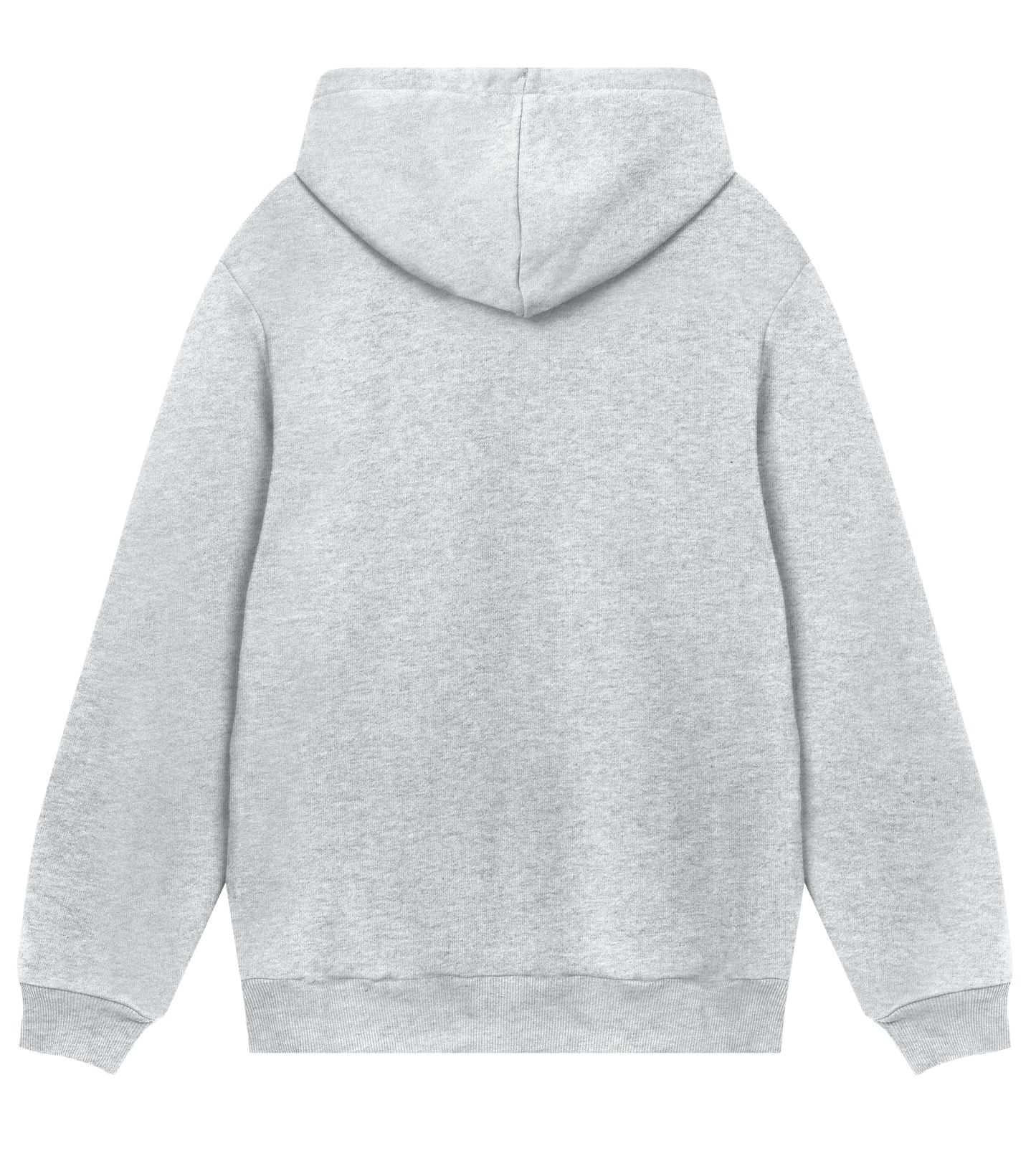 Dons Fortress Regular Hoodie in Grey Melange Back