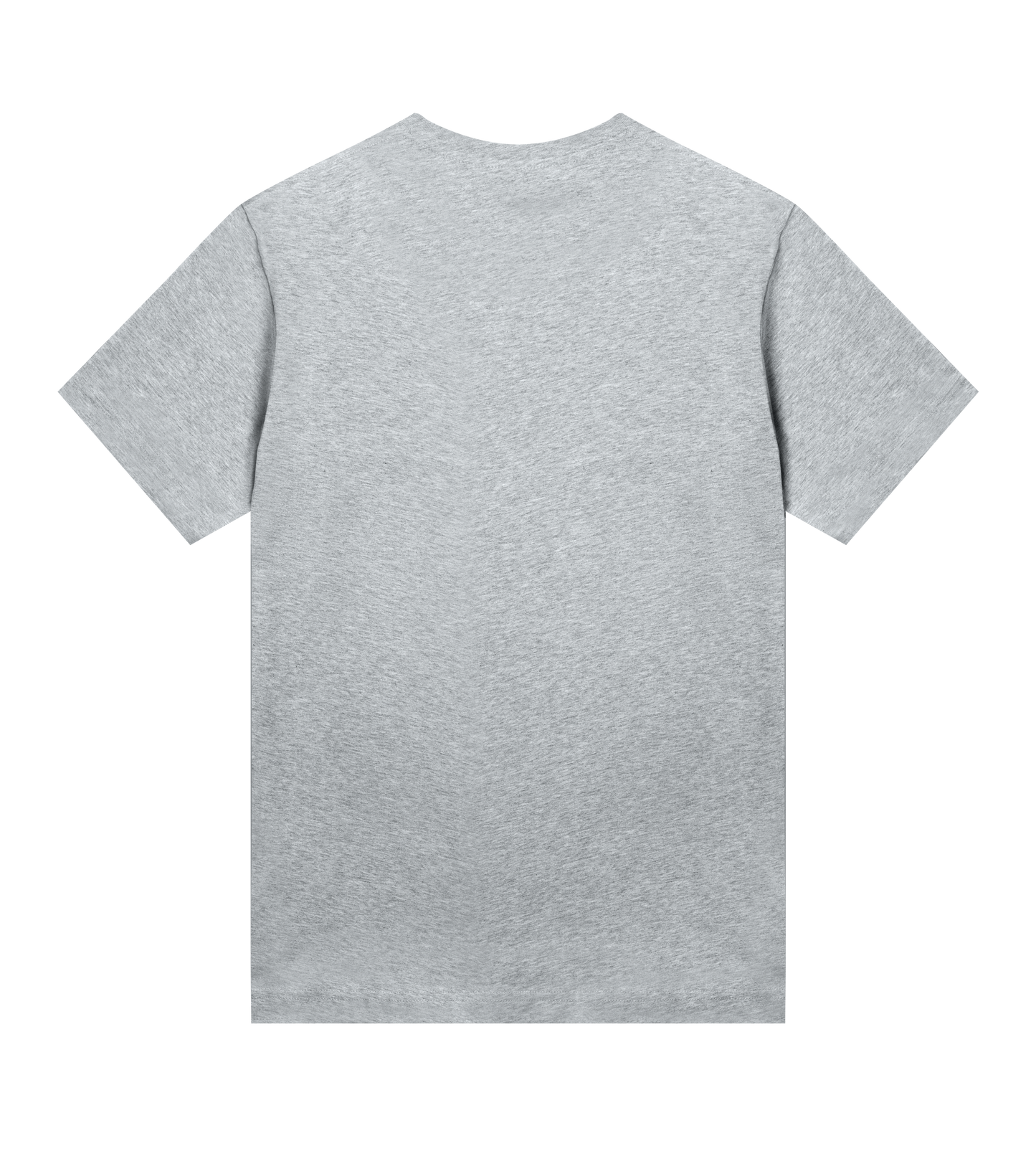 Dons Fortress Regular Tee in Grey Melange Back Womens