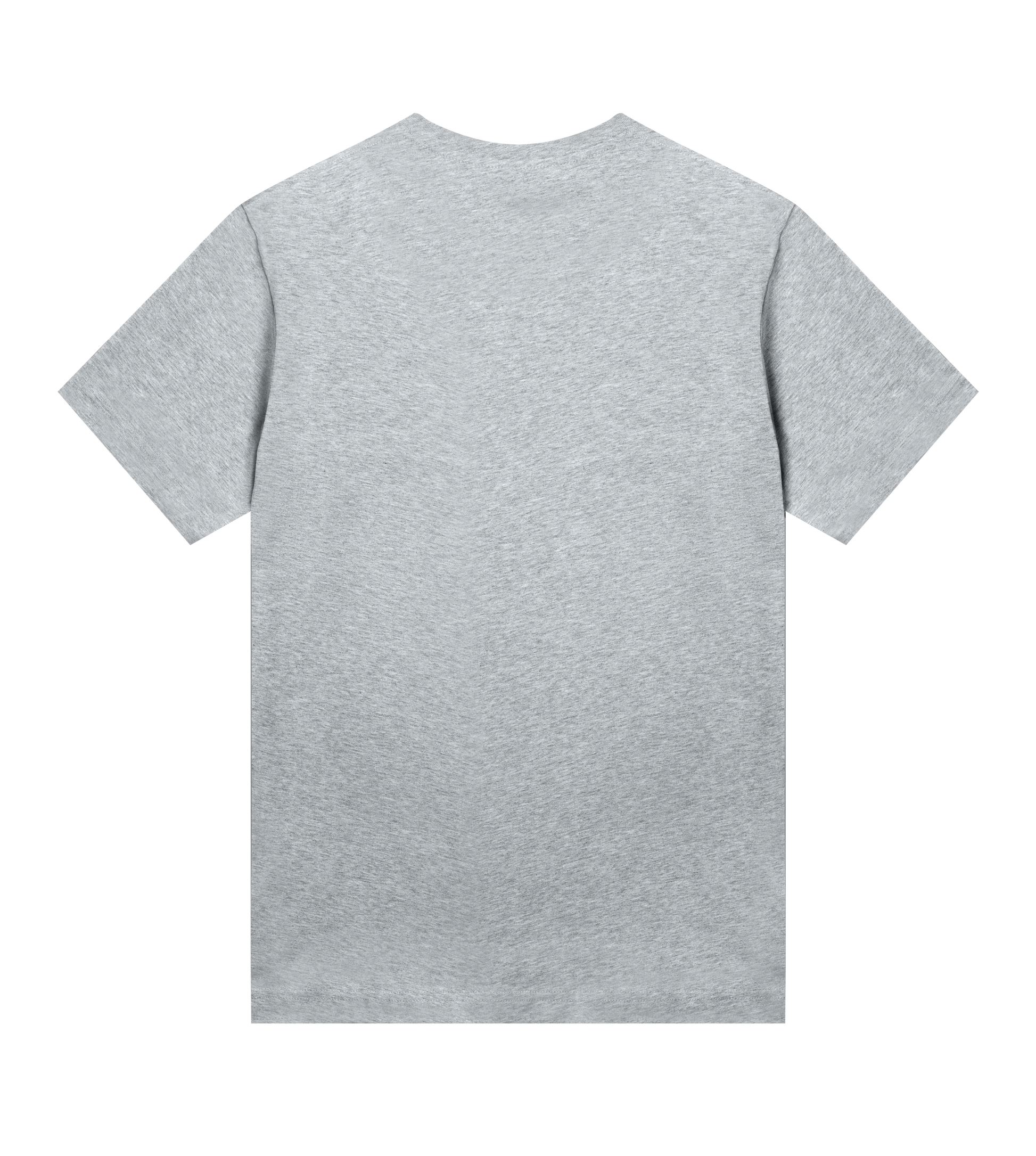 Dons Fortress Regular Tee in Grey Melange Back Womens