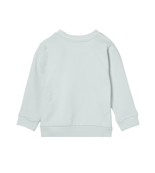 Dons Fortress Kids Regular Pullover in Mint Green Back