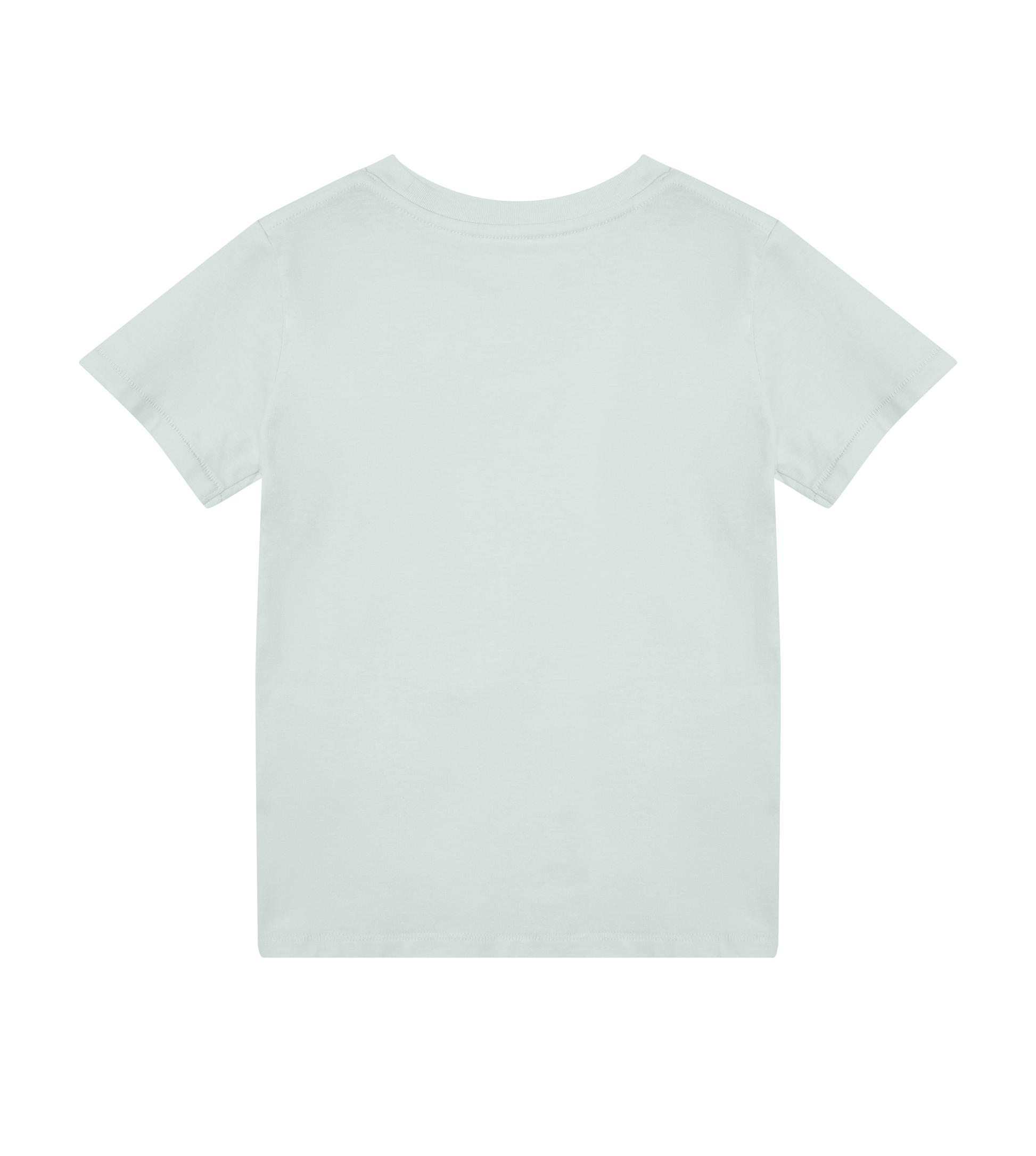 Dons Fortress Kids Regular Tee in Mint Green Back
