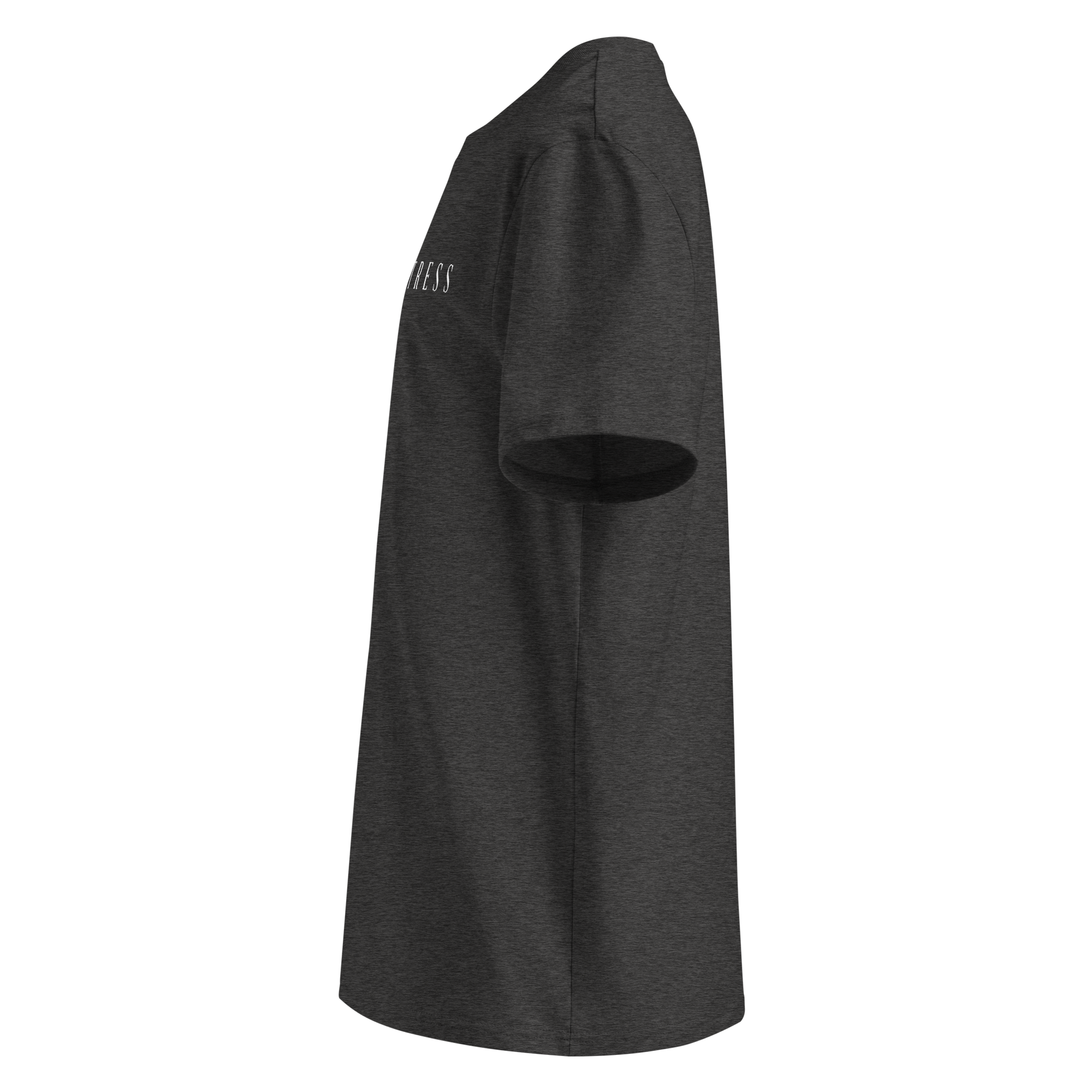 Dons Fortress Nain Tee in Dark Heather Grey WP FL