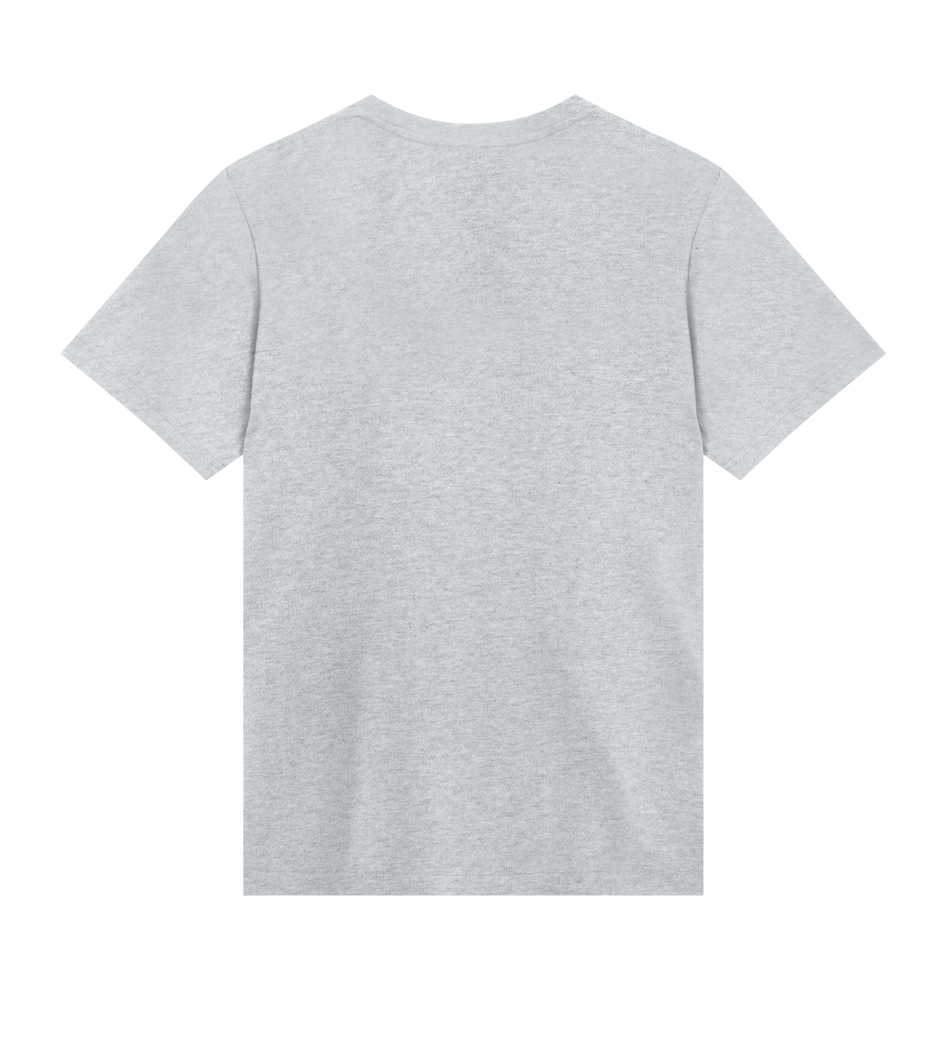 Dons Fortress Regular Tee in Grey Melange Back