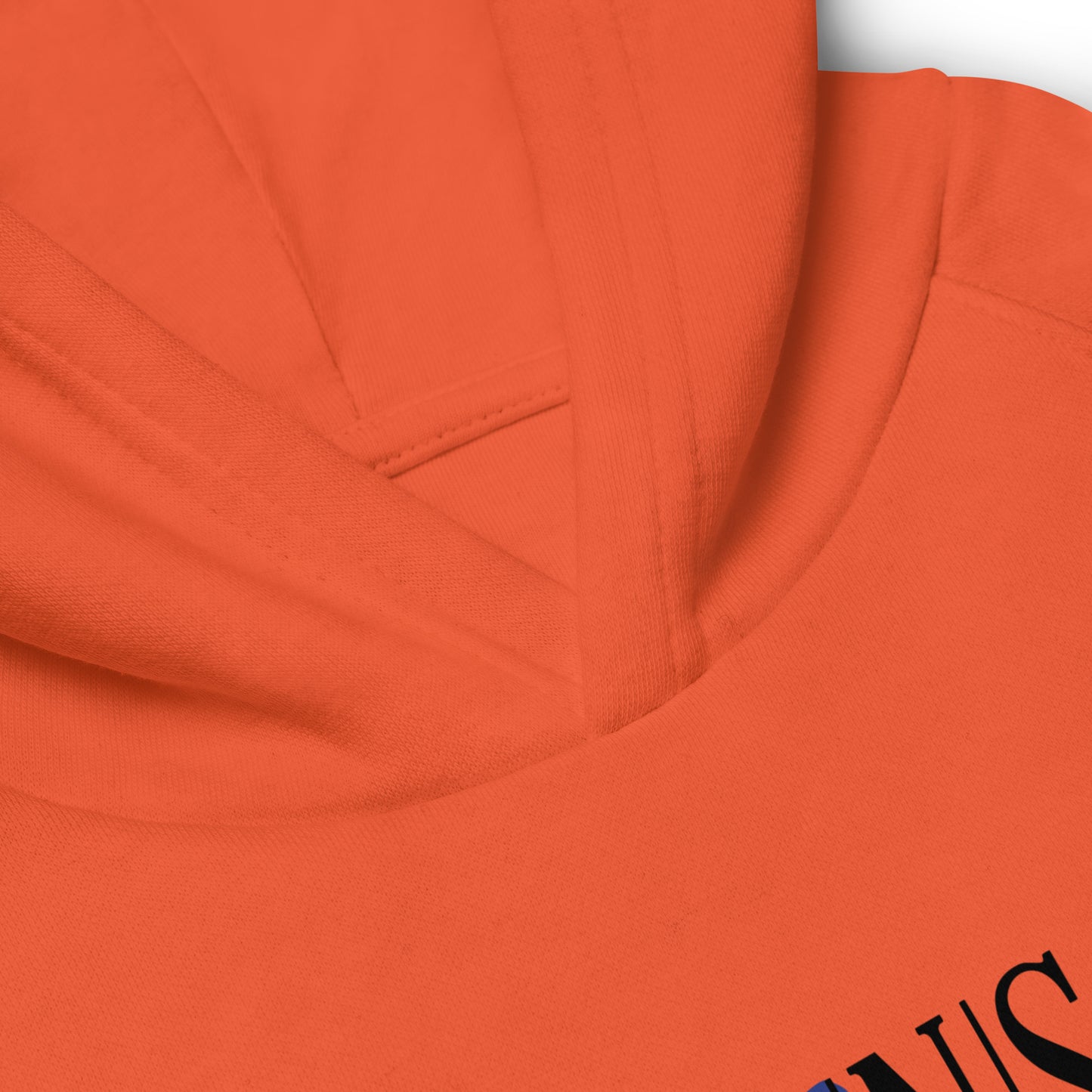 DONSFORTRESS Kids Hebron Eco-Friendly, Sustainable Hoodie in Burnt Orange. Made from 80% organic cotton, 20% recycled polyester.