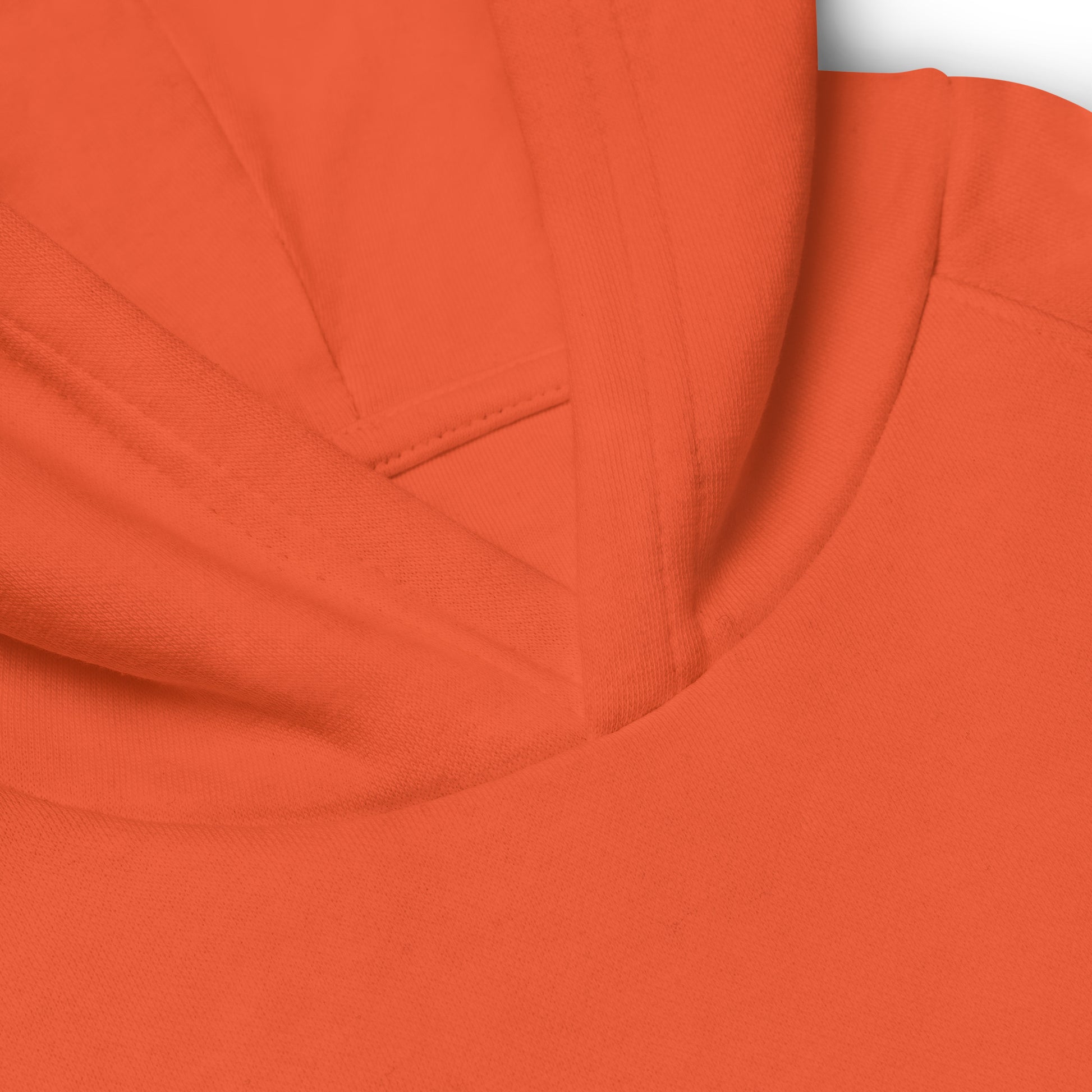 DONSFORTRESS Kids Judah Eco-Friendly, Sustainable Hoodie in Burnt Orange. Made from 80% organic cotton, 20% recycled polyester.