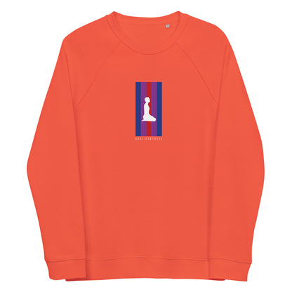 DONS|FORTRESS Pirathon Eco-Friendly, Sustainable Pullover. Made from organic cotton and recycled materials in Burnt Orange.